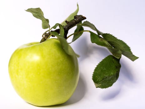 green apple on a white background