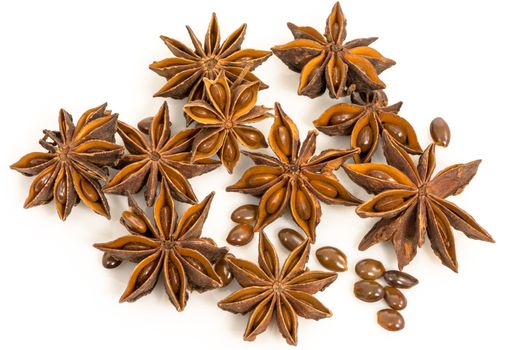 star anise. Seeds of herbaceous annual plant of the family Umbelliferae