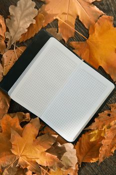 Close-up view on a blank notepad with autumn leaves