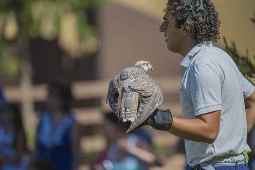 The picture is shot in Zoo Lagos, Portugal