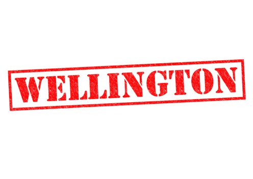 WELLINGTON Rubber Stamp over a white background.