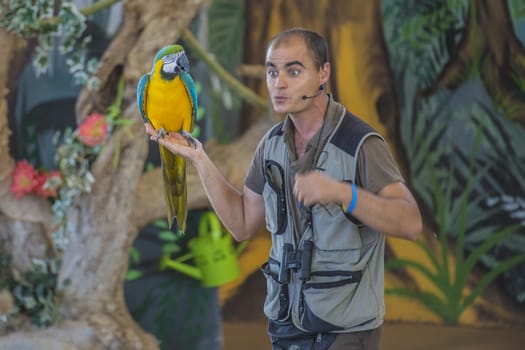 The picture is shot in Zoo Lagos, Portugal