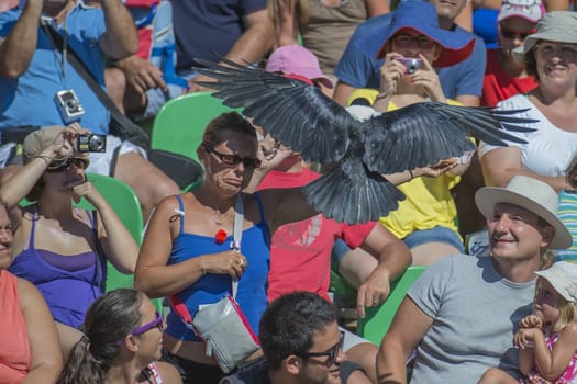 The picture is shot in Zoo Lagos, Portugal