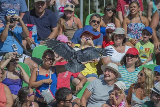 The picture is shot in Zoo Lagos, Portugal