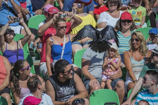 The picture is shot in Zoo Lagos, Portugal