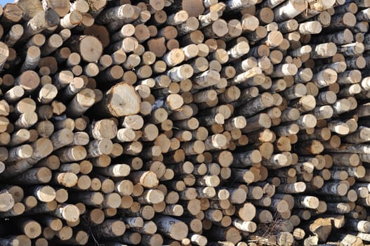 Fragment of birch logs stack background