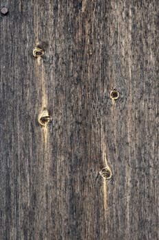 Close up of dark weathered wooden background with knots