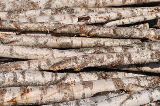 Stack of birch logs background