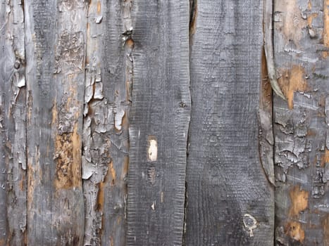 Close up of rough wooden fence texture