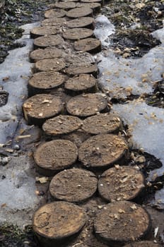 Close up of tree stumps makes a foot way in vegetable garden, early spring