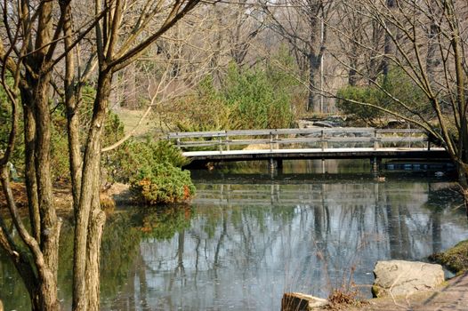 Japanese garden with bridge in early spring