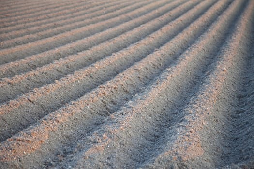 View at agricultural landscape with pattern