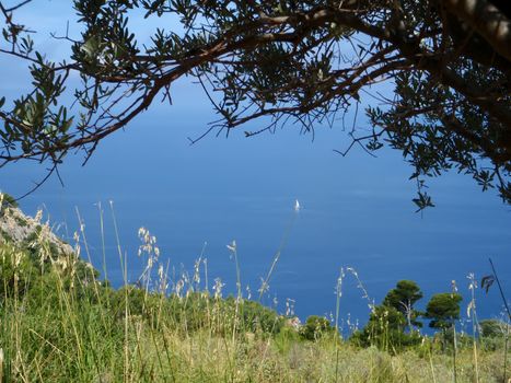 Mallorca island Spain Mediterranean view
