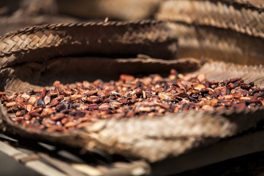 Close-up of Balinese coffe beans in a basket - Shallow DOF