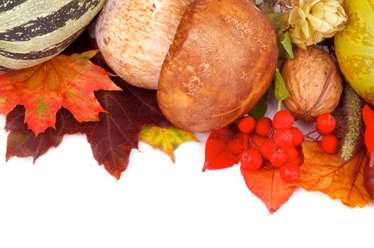 Frame of Various Autumn Leafs, Vegetables, Berries, Porcini Mushroom and Nuts isolated on white background. Horizontal View
