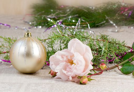 Beautiful shiny white ball , rose and branches of a Christmas tree ornament.