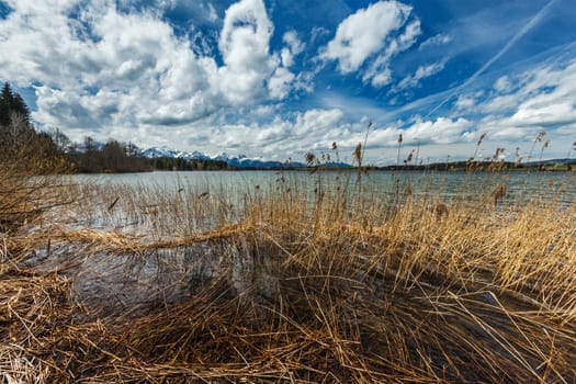 Bavarian Alps countryside lake landscape. Bavaria, Germany