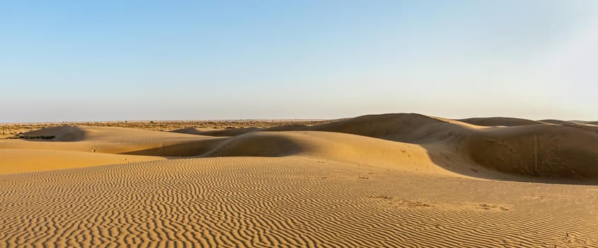 Panorama of dunes in Thar Desert. Sam Sand dunes, Rajasthan, India
