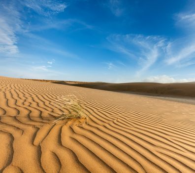 Dunes of Thar Desert. Sam Sand dunes, Rajasthan, India