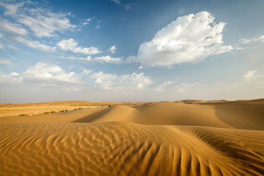 Dunes of Thar Desert. Sam Sand dunes, Rajasthan, India