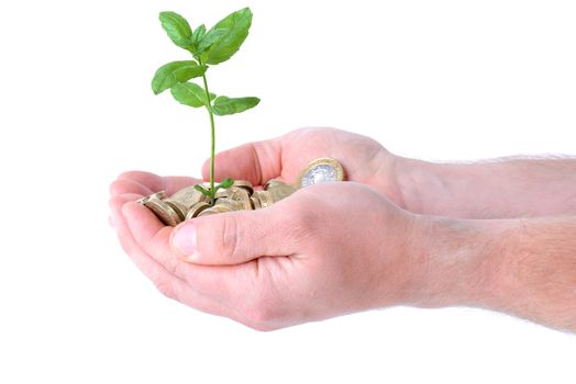 hands holding a heap of coins with a plant growing out from them, concept of money growth, isolated on white background