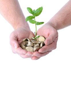 hands holding a heap of coins with a plant growing out from them, concept of money growth, isolated on white background