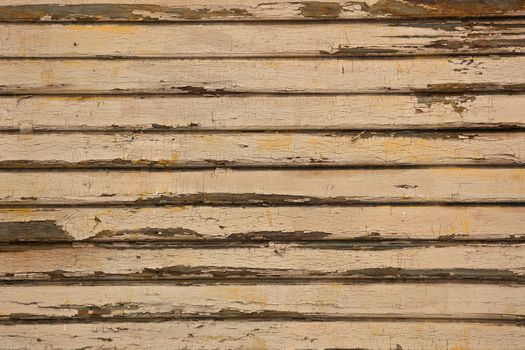 Background picture made of old wood boards