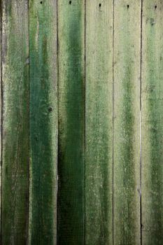 Background picture made of old green wood boards