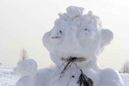 Shot of the snow man - head