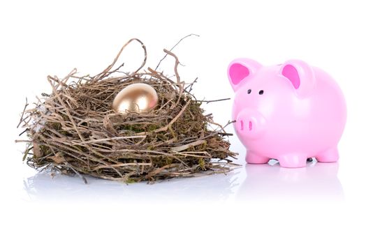 piggy bank looking after golden egg in nest isolated on white