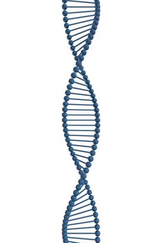 Isolated DNA strand on white background concept of science research