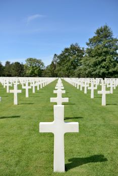 line of graves in a world war 2 cemetery