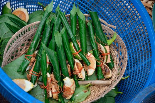 Areca nut, betel nut chewed with the leaf is mild stimulant for sell in local market, Thailand