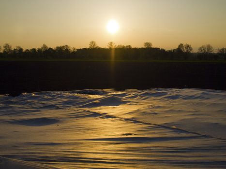 Plastic tarp on the field to protect from birds and wind at sunset