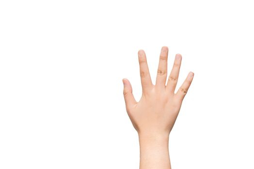 Human hand with open palm light gray background