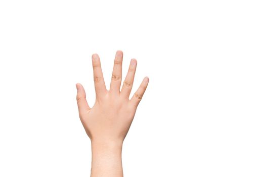 Human hand with open palm light gray background