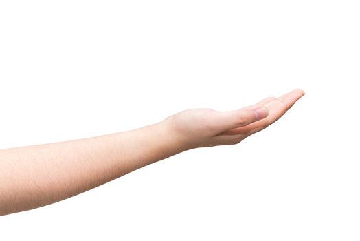 Human hand with open palm ready to recieve on light gray background