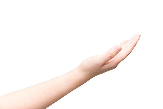 Human hand with open palm ready to recieve on light gray background