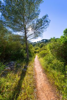 Menorca mediterranean track in es Mitjorn Gran at Balearic islands