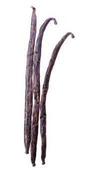 Vanilla pods isolated on the white background