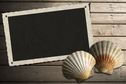 Aged photo frame with two sea shells on beach wooden floor over summer sand