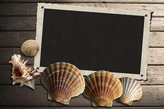 Aged photo frame with five sea shells on beach wooden floor over summer sand