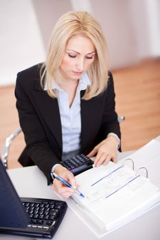 Beautiful businesswoman doing finances in the office