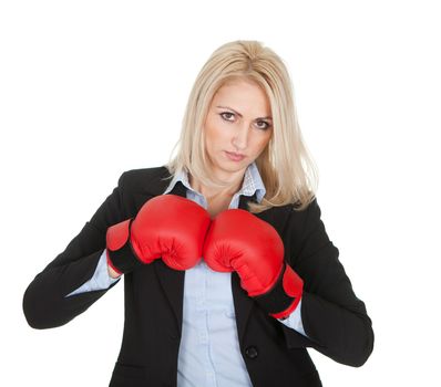 Beautiful businesswomen posing with boxing gloves. Isolated on white