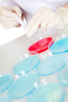 Researcher making an expering using petri dishes in laboratory