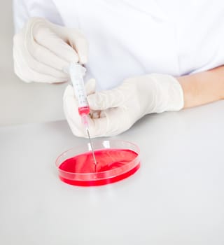 Researcher making an expering using petri dishes in laboratory