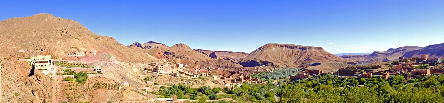 Oasis in the dade valley in Morocco Africa