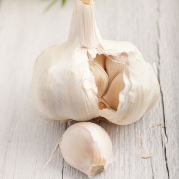 Single fresh garlic bulb broken open to reveal the individual cloves with one clove in the foreground on a painted white surface