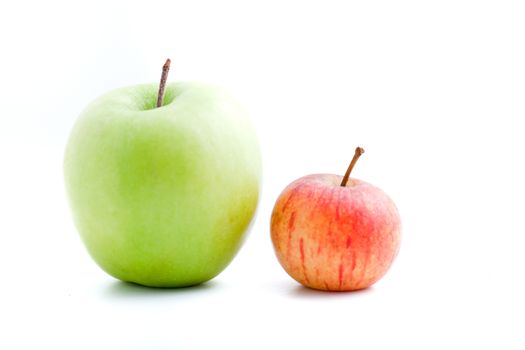 Apple varieties with a large fresh green apple and small red apple standing side by side on a white background with copyspace