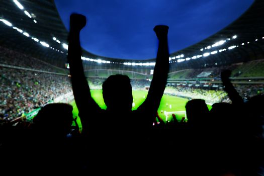 Football, soccer fans support their team and celebrate goal, score, victory. Full stadium